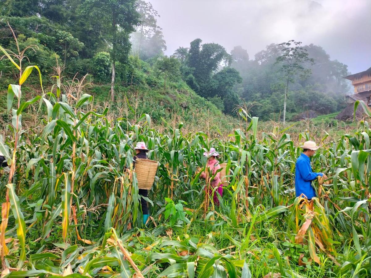 Muong Hoa Hmong Homestay Sa Pa Ngoại thất bức ảnh