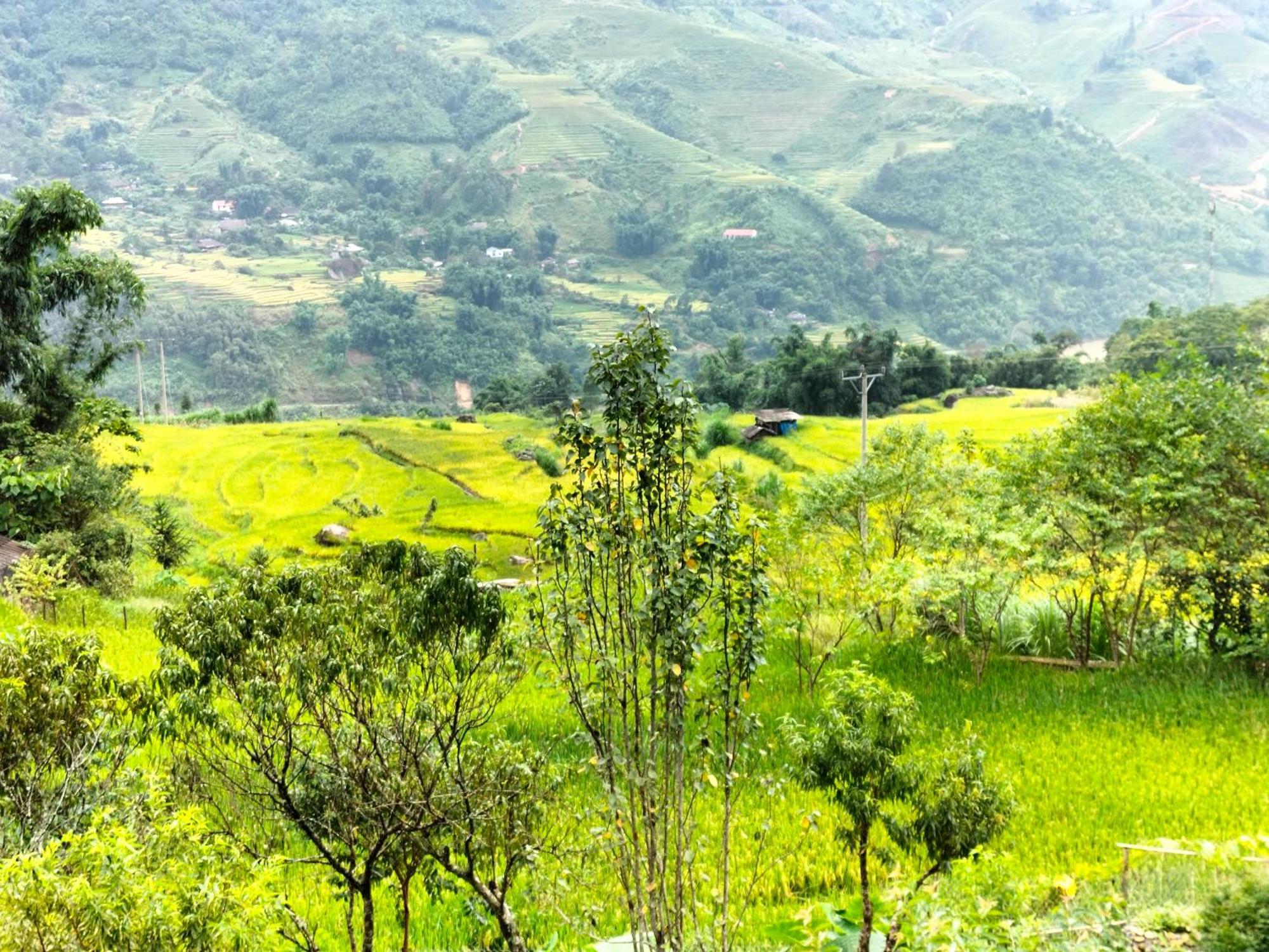 Muong Hoa Hmong Homestay Sa Pa Ngoại thất bức ảnh