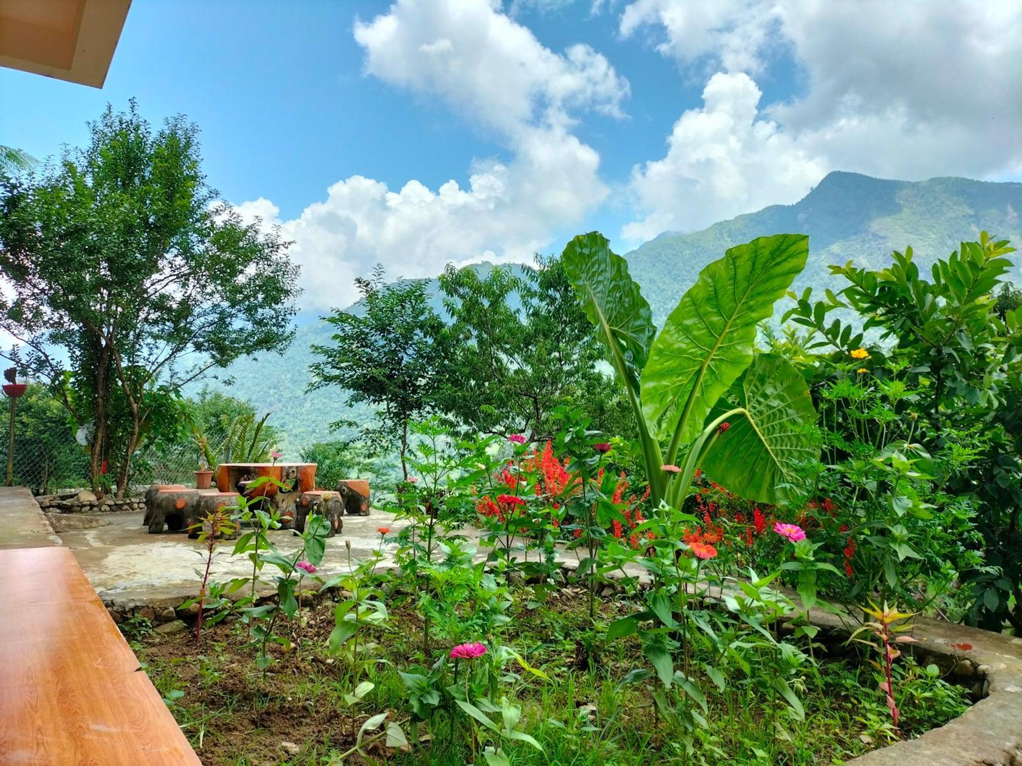 Muong Hoa Hmong Homestay Sa Pa Ngoại thất bức ảnh