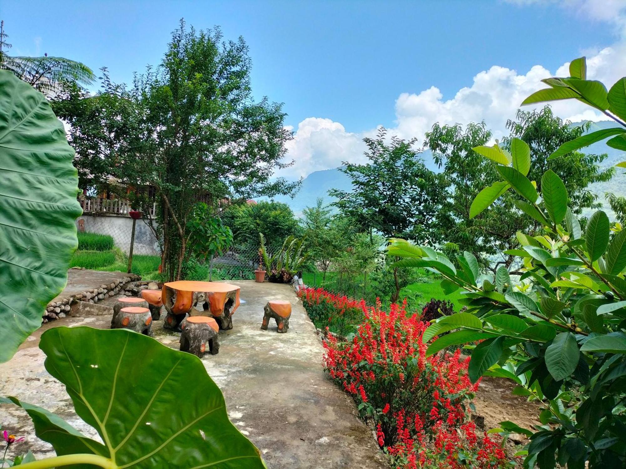 Muong Hoa Hmong Homestay Sa Pa Ngoại thất bức ảnh