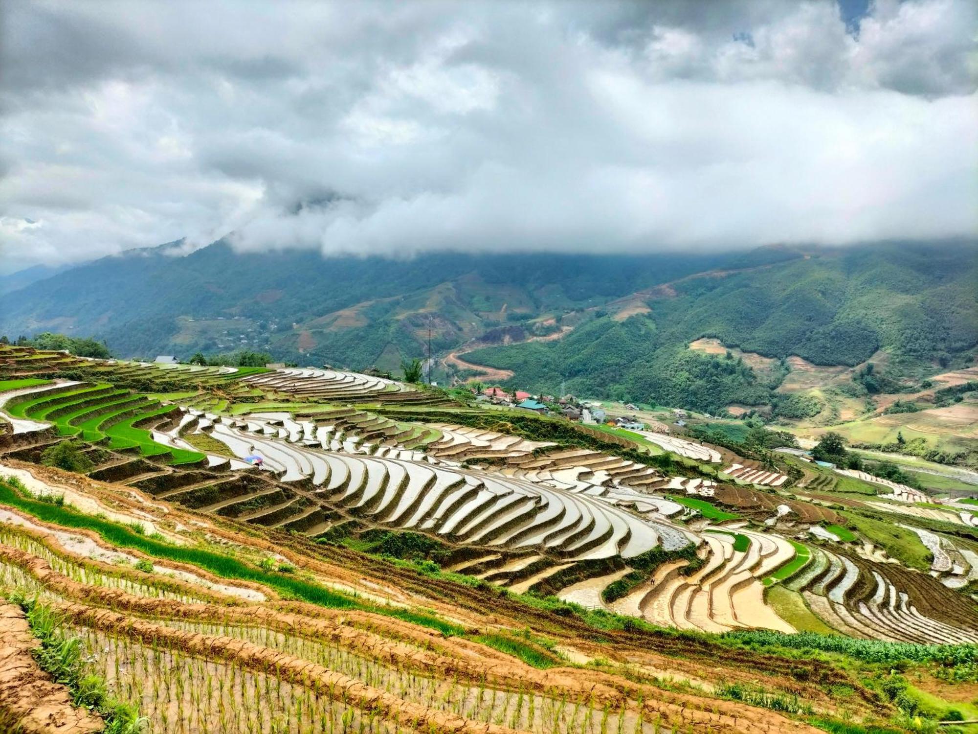 Muong Hoa Hmong Homestay Sa Pa Phòng bức ảnh