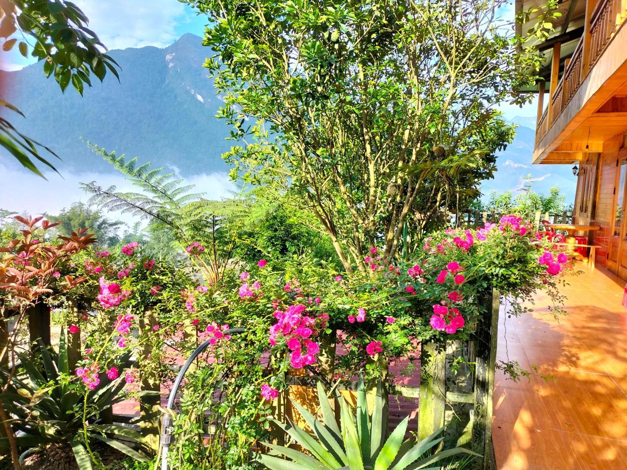 Muong Hoa Hmong Homestay Sa Pa Phòng bức ảnh